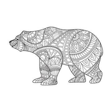 bear, animal, coloring book, coloring