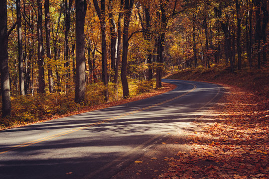 Fototapeta Skyline Drive in Gold