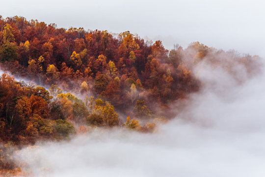 Fall Season in Shenandoah