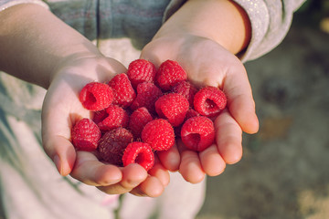 Raspberries