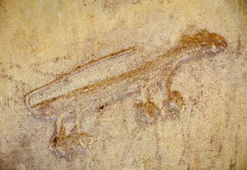 Chaco Culture National Historical Park