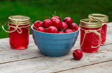 Crabapples and crapapple Jelly