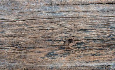 Wood texture background.