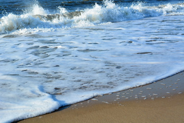 Foamy Waves Wash onto a Sandy Beach