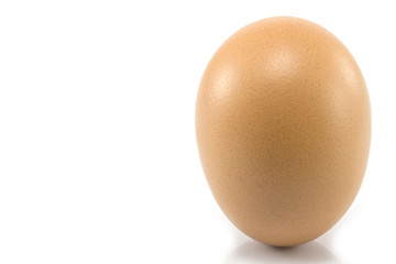 Single brown chicken egg isolated