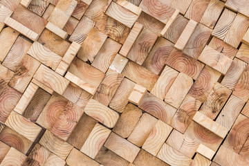 Fototapeta premium close-up of Wood texture of cut tree trunk