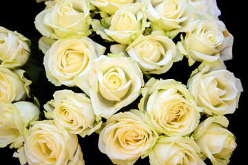 Obraz na płótnie Canvas Gentle yellow flowers roses on black. The texture of roses. Beautiful fragrant flowers for loved ones.