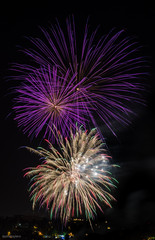 Fototapeta na wymiar fireworks - fuochi d'artificio