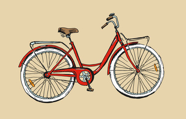 Hand drawn sketch illustration of bicycle. Vintage bike