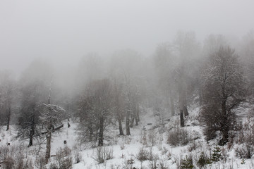 Fototapeta premium Winter in Derazno, Golestan, Iran