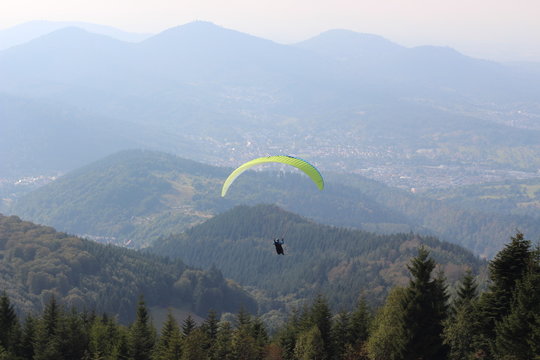 Paragliders