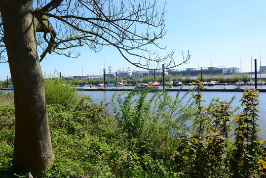 Elbe_014