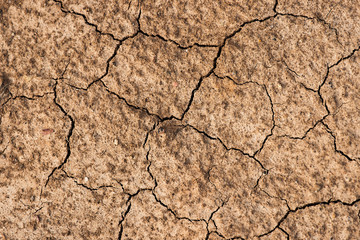 Сhapped ground of brown color