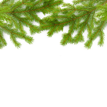 Background of fir Christmas green branches. Isolated on white.