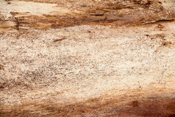 Wood texture background close up 8