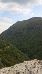 Fototapeta premium versanti boschivi