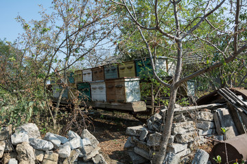 Handmade transported hives in the village, Shagany, Ukraine