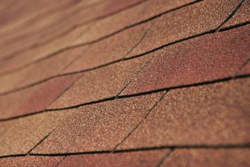 Shingle Roof