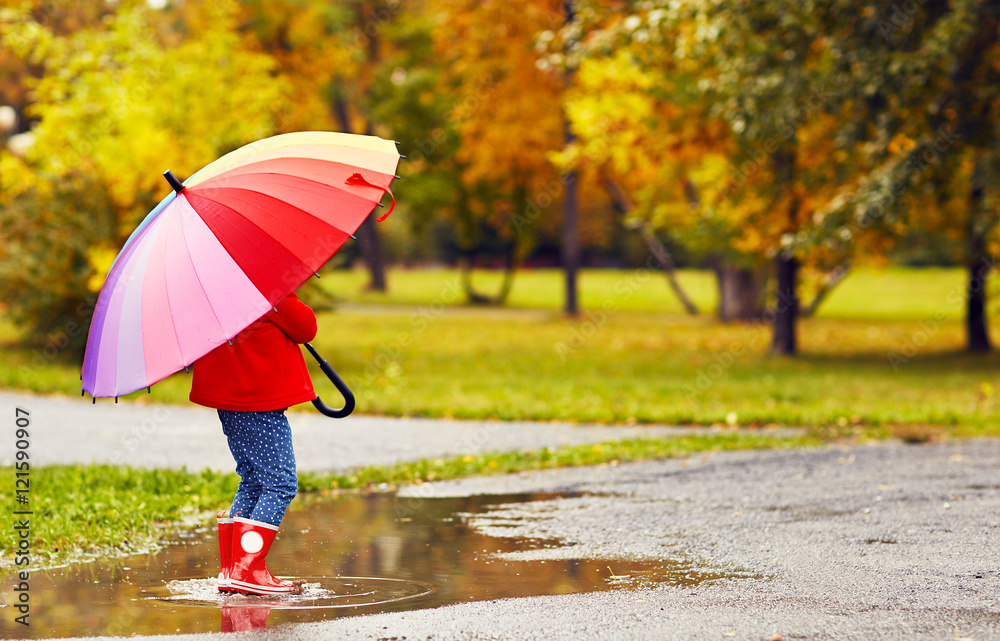 Canvas Prints happy child girl with umbrella walking through puddles after aut