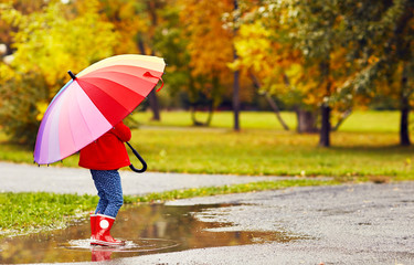 happy child girl with umbrella walking through puddles after aut