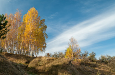 Fototapeta premium Trees with yellow leaves on the hillside against a blue sky on a sunny day. Autumn landscape.