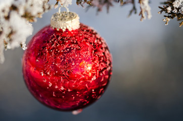Frozen Red Christmas Ornament Decorating a Snowy Outdoor Tree