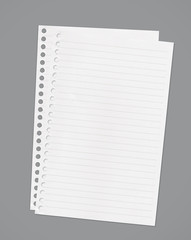 Two sheet of white lined notebook paper on gray/clipping paths
