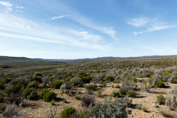 Green and blue landscape of Tankwa Karoo