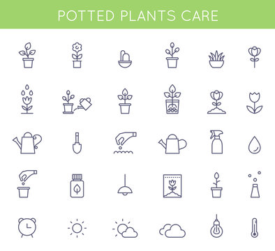 Garden And Potted Plants Care Instructions Icons And Pictograms. Vector Flat Outline Symbols