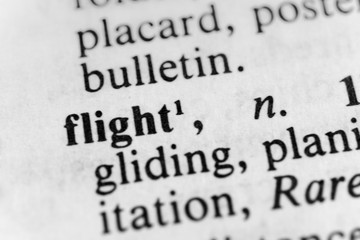 Fototapeta premium Flight