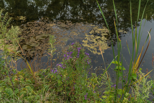 Erie Canal Trail