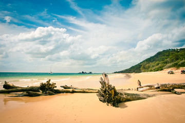 View to beach in beautiful sunny weather, Moreton Island, Australia
