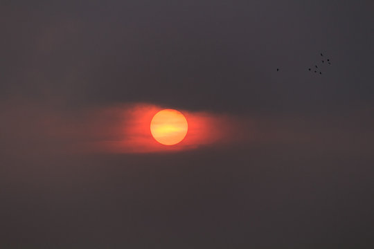 Sunset and birds