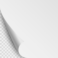 Empty paper sheet. Isolated on transparent background. Vector illustration, eps 10