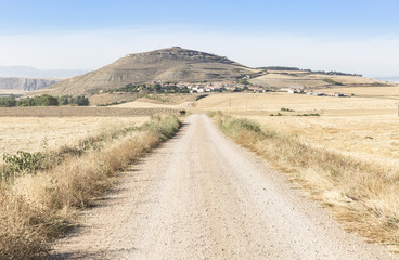 Fototapeta premium summer landscape and a view of Ibrillos village on a summer day, Burgos, Spain