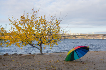 Umbrella on the river bank