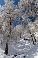 Obraz premium Winter in Derazno, Golestan, Iran