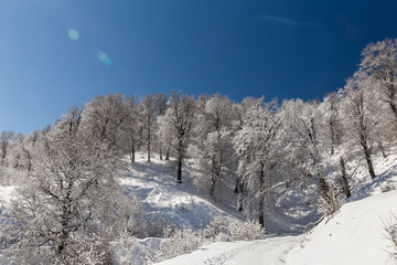 Fototapeta premium Winter in Derazno, Golestan, Iran