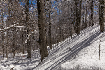 Obraz premium Winter in Derazno, Golestan, Iran