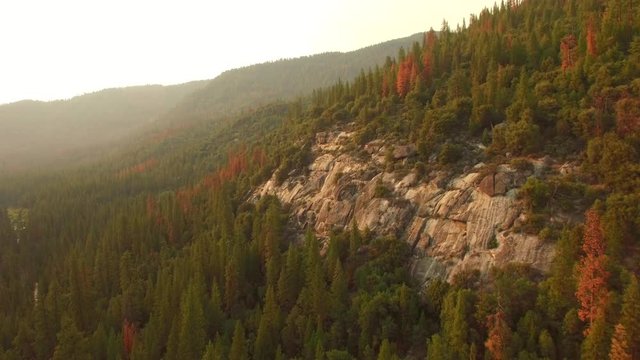 Aerial shot flying over the trees in the Sierra National Forest towards a large rock cliff. Mostly green trees with several orange/red. Warm light, slightly hazy sky.