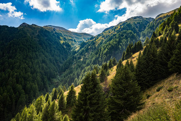 Obraz premium Panorama of Romanian Carpathians