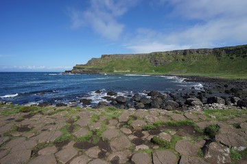 Landschaft an der Causeway Coast - Giants Causeway / Nordirland
