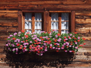 Fototapeta na wymiar Blumen am Fenster