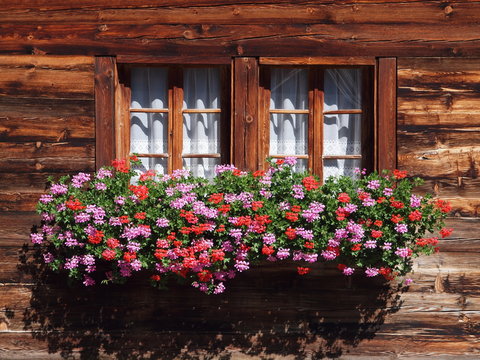 Blumen am Fenster