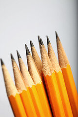 Pencil Bunch