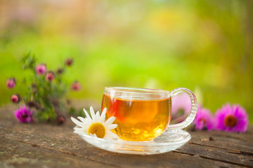 green tea in beautiful cup