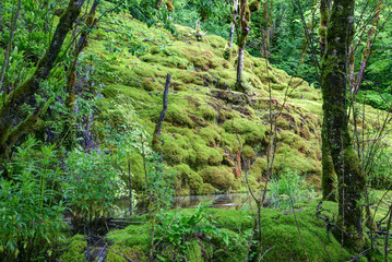 Paysage du Jura - Franche-Comté