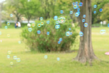 緑とシャボン玉