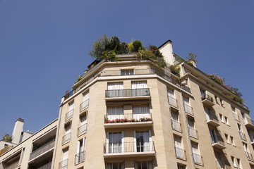 Fototapeta premium Immeuble avec toit terrasse à Paris