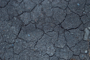 Dried Ground in summer